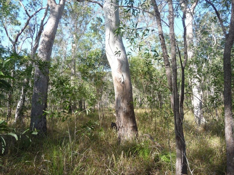 Lot 12 Dillon Rd, Captain Creek QLD 4677