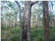 Lot 12 Dillon Rd, Captain Creek QLD 4677