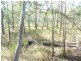 Lot 12 Dillon Rd, Captain Creek QLD 4677