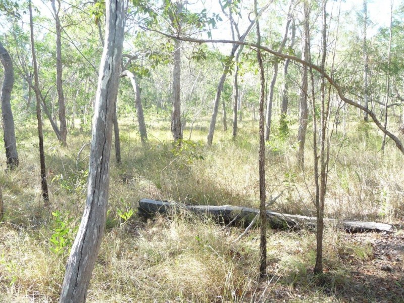 Lot 12 Dillon Rd, Captain Creek QLD 4677