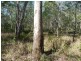 Lot 12 Dillon Rd, Captain Creek QLD 4677