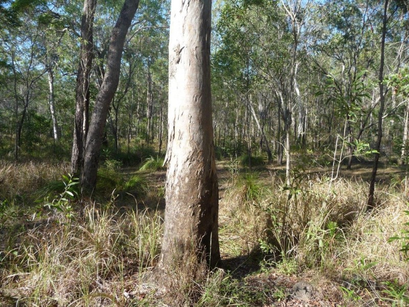 Lot 12 Dillon Rd, Captain Creek QLD 4677