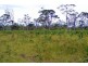 193 Maude Hill Road, Deepwater QLD 4674