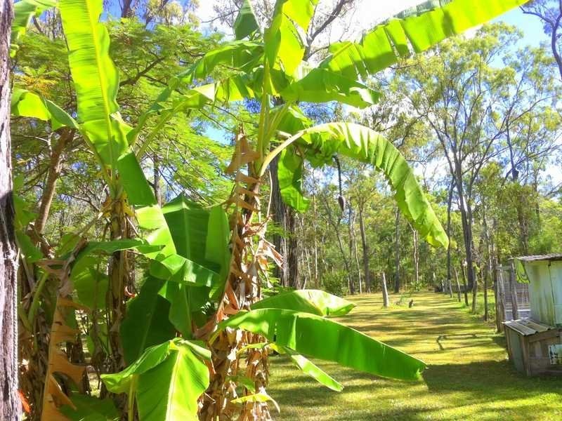 Captain Creek QLD 4677