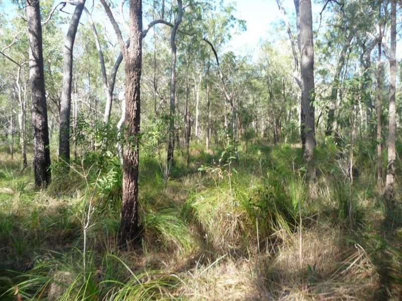 Captain Creek QLD 4677