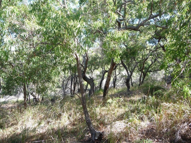 Agnes Water QLD 4677