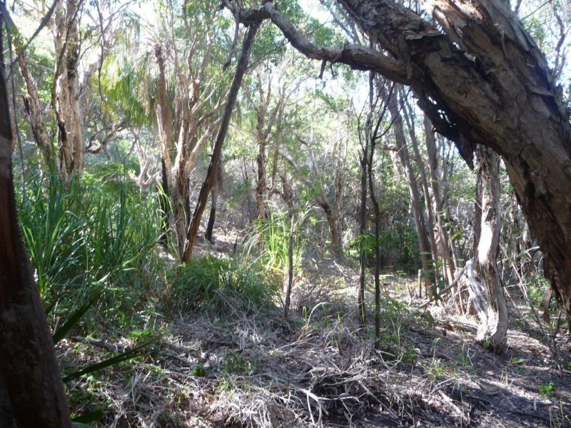 Agnes Water QLD 4677