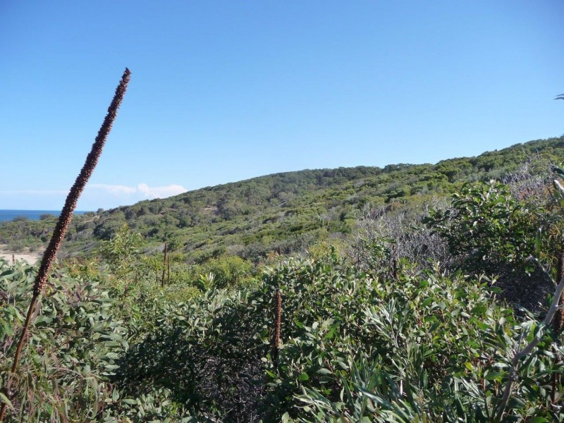 Agnes Water QLD 4677