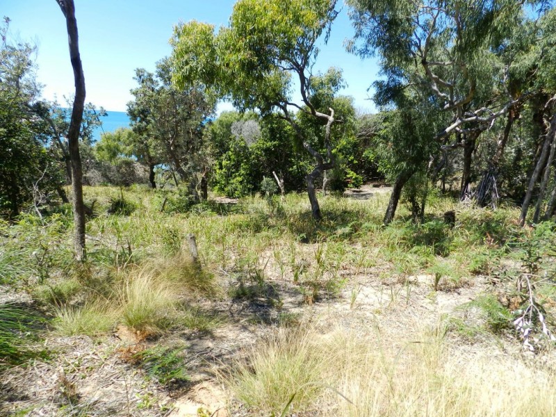 Agnes Water QLD 4677