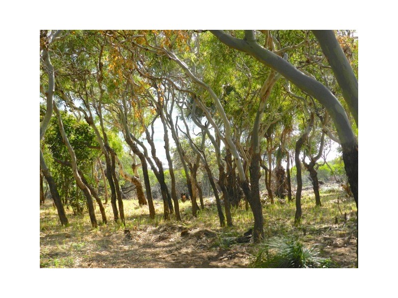 Lot 73 Sunrise Close Sunrise, Agnes Water QLD 4677