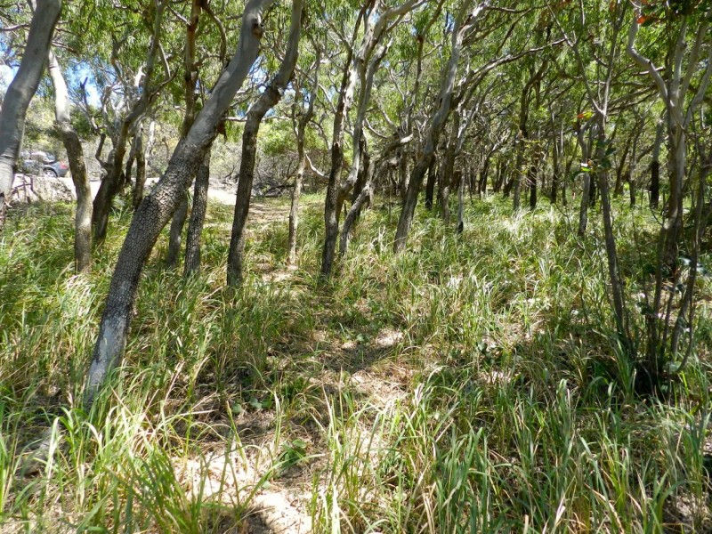 Lot 73 Sunrise Close Sunrise, Agnes Water QLD 4677