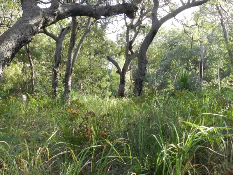 Agnes Water QLD 4677