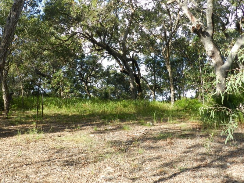 Agnes Water QLD 4677