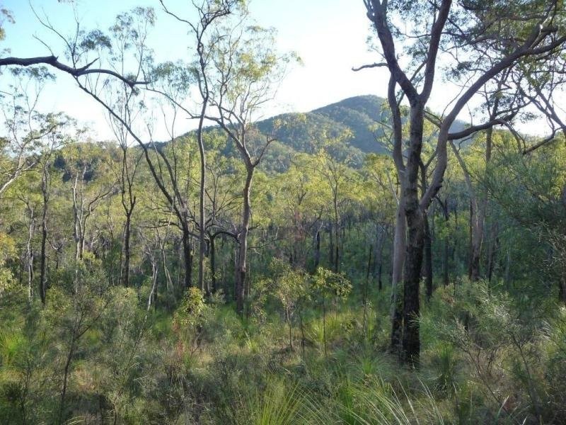 Captain Creek QLD 4677