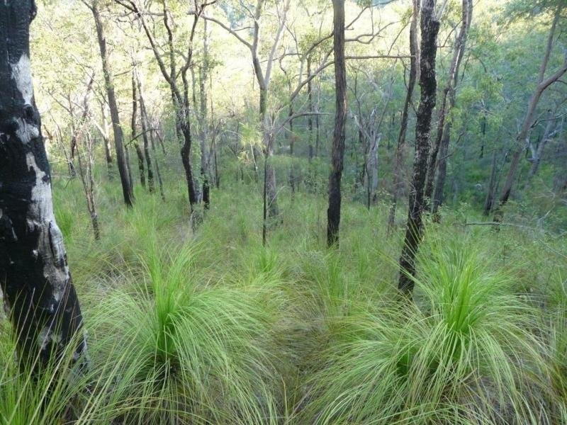 Captain Creek QLD 4677