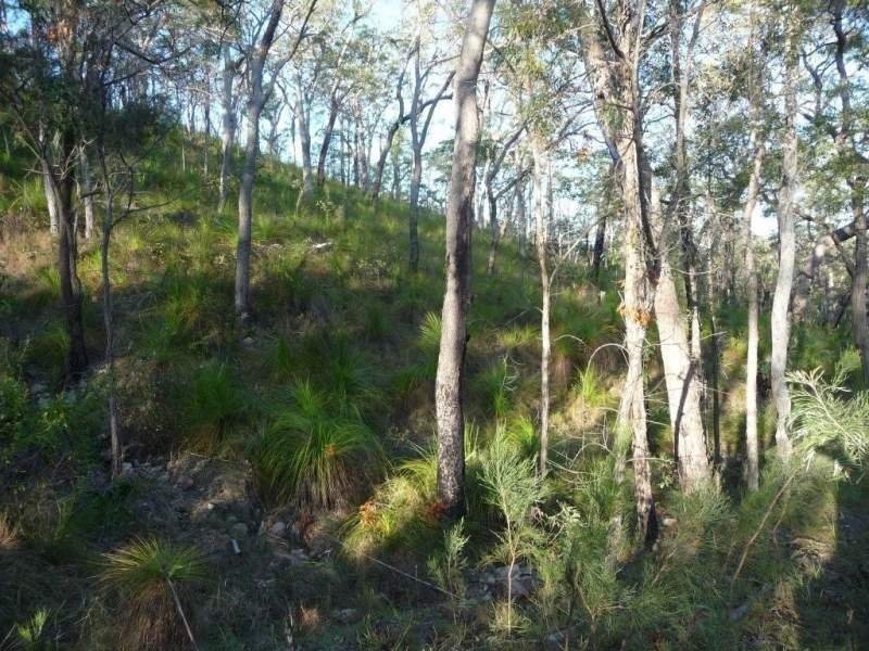 Captain Creek QLD 4677