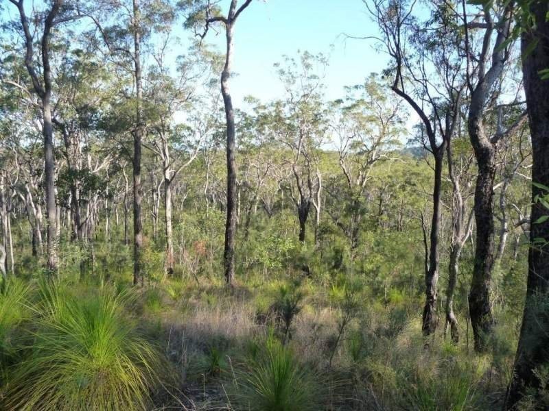 Captain Creek QLD 4677