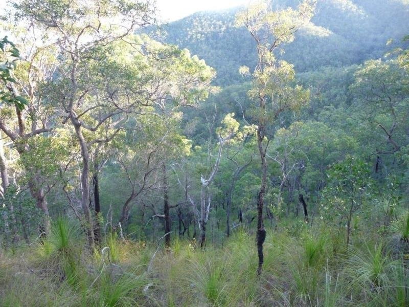 Captain Creek QLD 4677