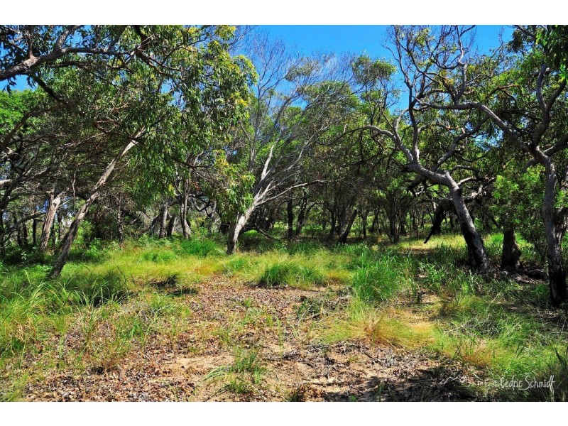 Agnes Water QLD 4677