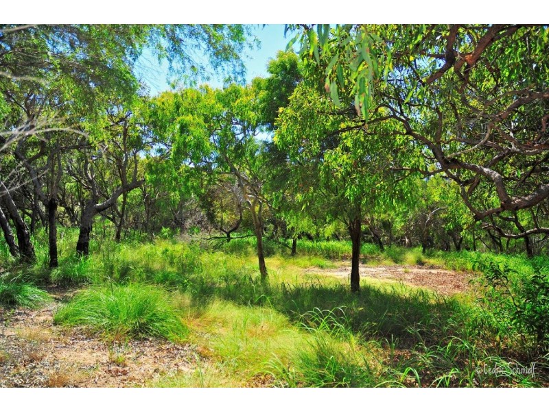 Agnes Water QLD 4677