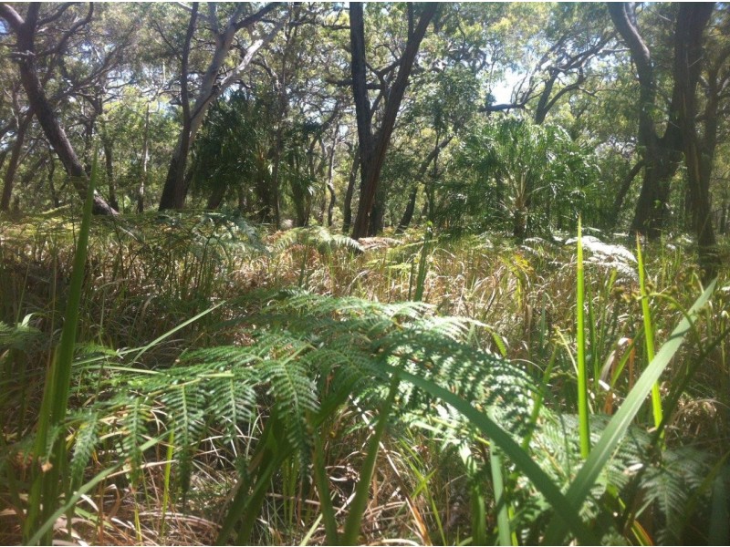 Agnes Water QLD 4677