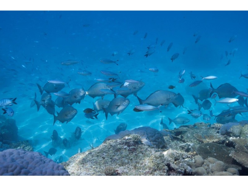 Lot 2 Rules Beach Road, Rules Beach QLD 4674