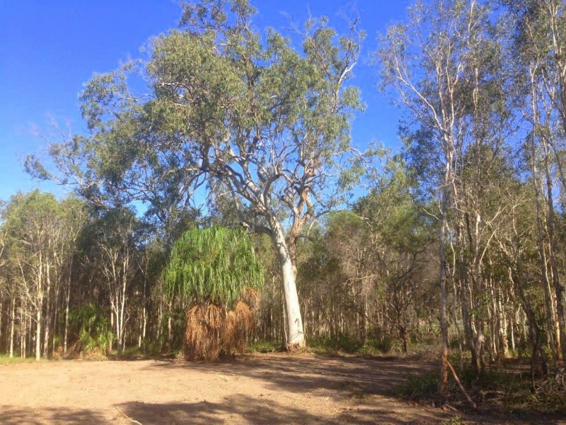 Agnes Water QLD 4677