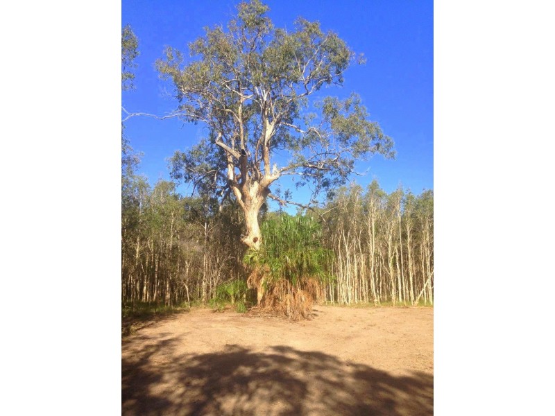 Agnes Water QLD 4677