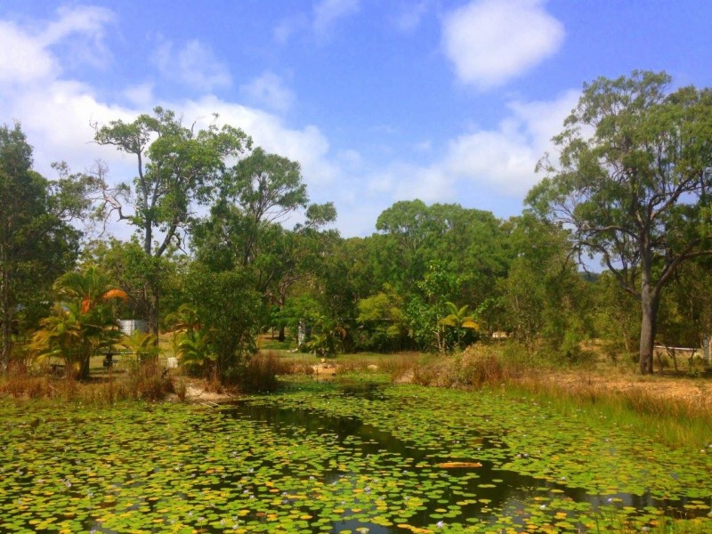 484 Anderson Way, Agnes Water QLD 4677