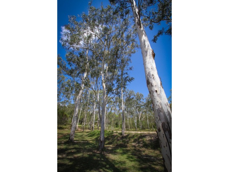 Agnes Water QLD 4677