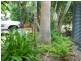 64 McGhee Crescent, Agnes Water QLD 4677