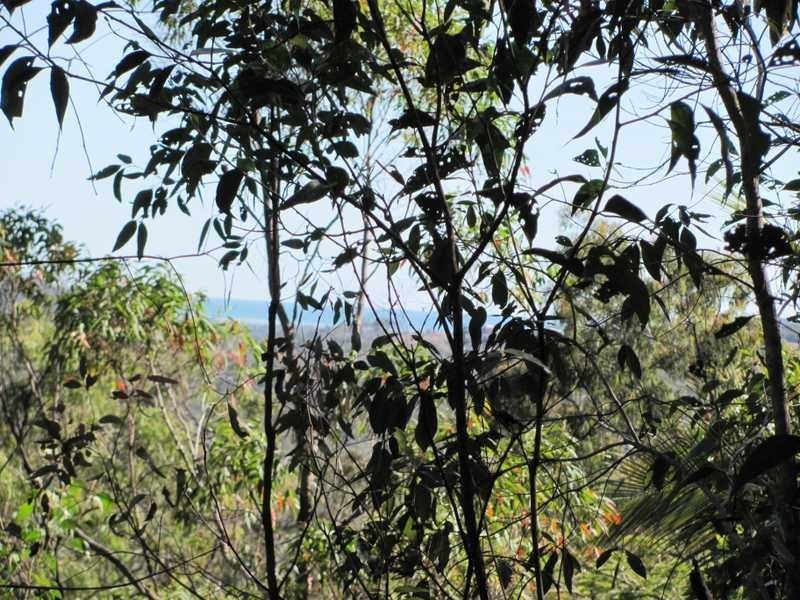 Agnes Water QLD 4677