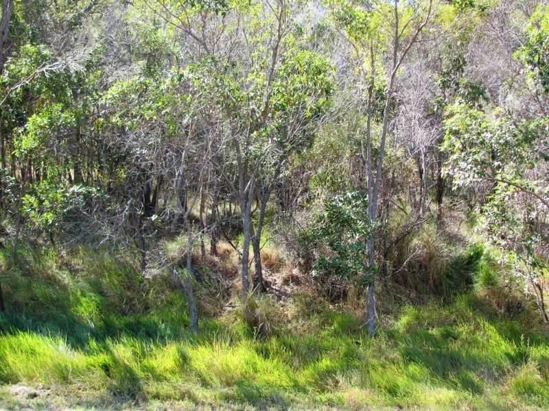 Agnes Water QLD 4677