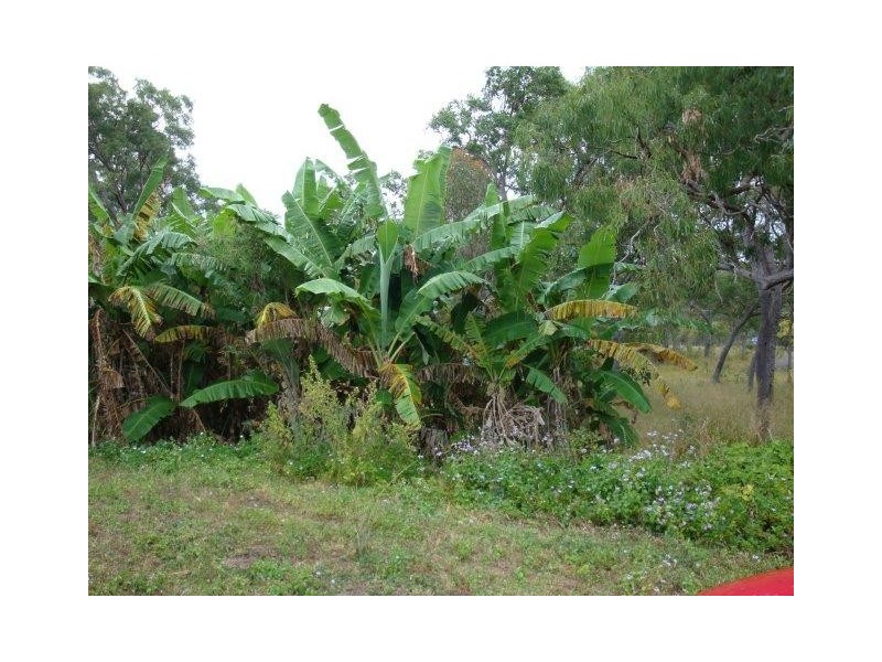 236 Rafting Ground Road, Agnes Water QLD 4677