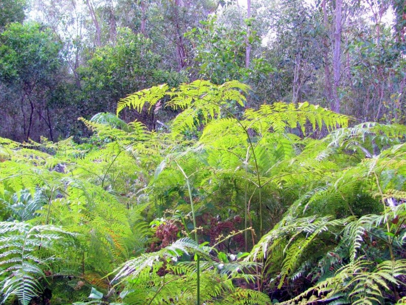 Agnes Water QLD 4677