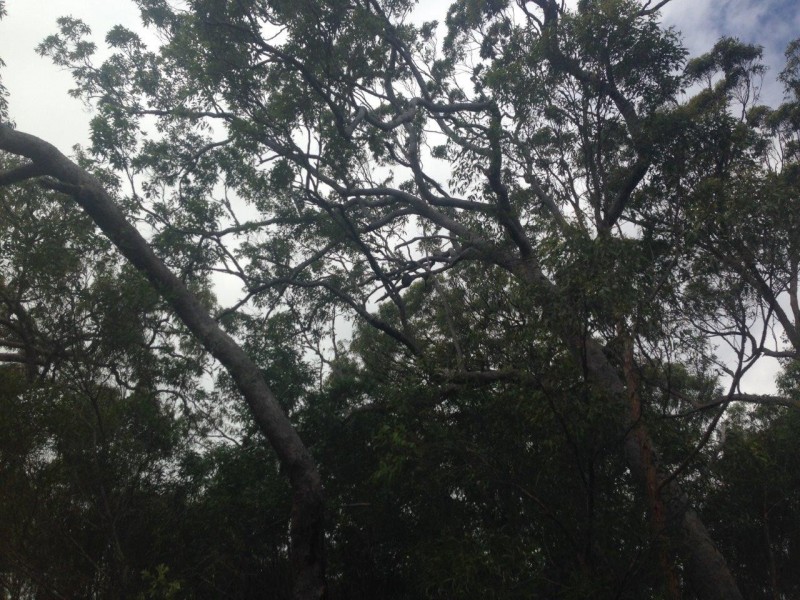 Agnes Water QLD 4677