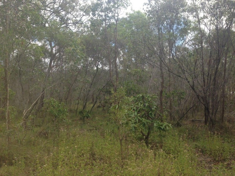 Agnes Water QLD 4677