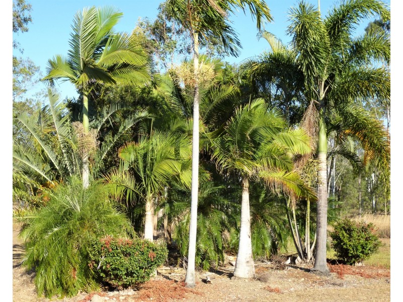 Captain Creek QLD 4677