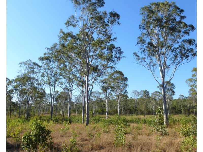 Captain Creek QLD 4677