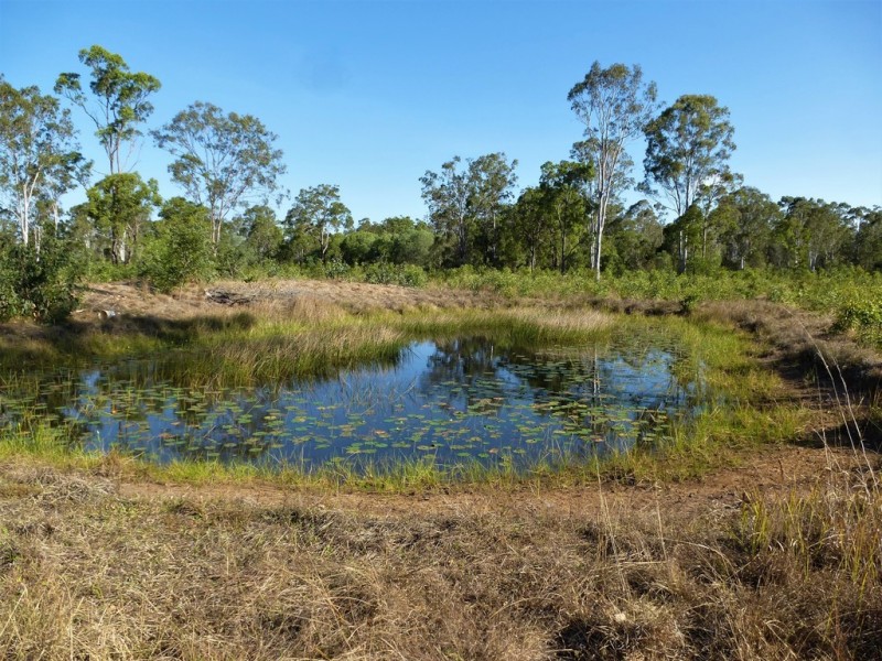Captain Creek QLD 4677