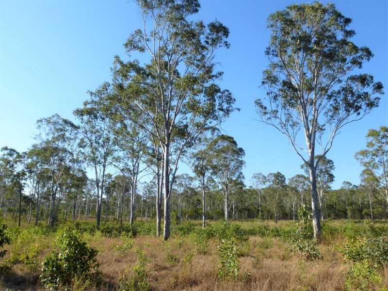 Captain Creek QLD 4677