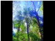 Lot 240 Baldaw, Captain Creek QLD 4677