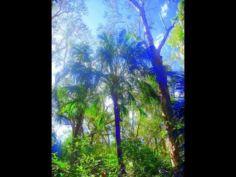 Lot 240 Baldaw, Captain Creek QLD 4677