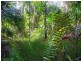 Lot 240 Baldaw, Captain Creek QLD 4677