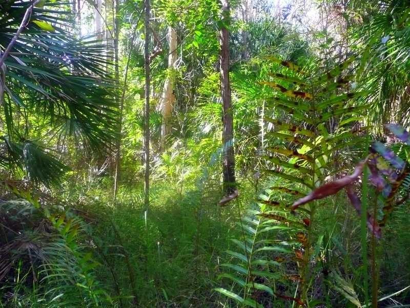 Lot 240 Baldaw, Captain Creek QLD 4677