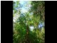 Lot 240 Baldaw, Captain Creek QLD 4677