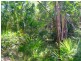 Lot 240 Baldaw, Captain Creek QLD 4677