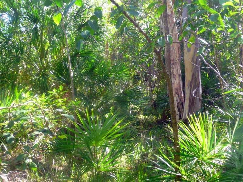 Lot 240 Baldaw, Captain Creek QLD 4677