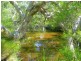 Lot 240 Baldaw, Captain Creek QLD 4677