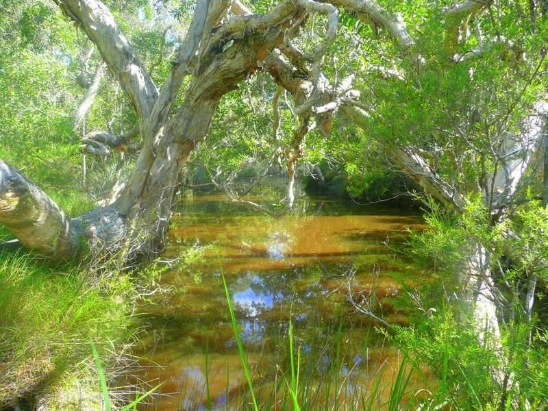 Lot 240 Baldaw, Captain Creek QLD 4677